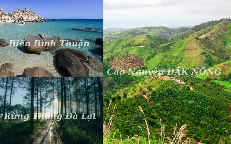 sieu-tinh-lam-dong